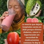Jugo de guanábana y tomate: qué aporta y por qué no cura diabetes, cáncer ni hipertensión