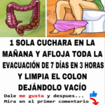 Cómo cuidar el colon de forma natural: hábitos seguros para una mejor digestión