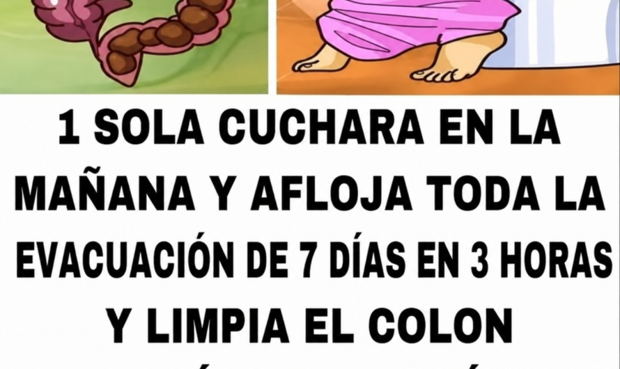 Cómo cuidar el colon de forma natural: hábitos seguros para una mejor digestión