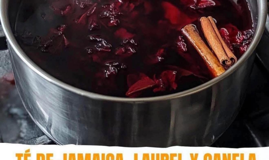 Bebida de laurel, Jamaica y canela para mujeres: beneficios reales, receta y precauciones