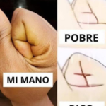 ¿Las líneas de la mano revelan si serás rico o pobre? Mito, realidad y consejos financieros
