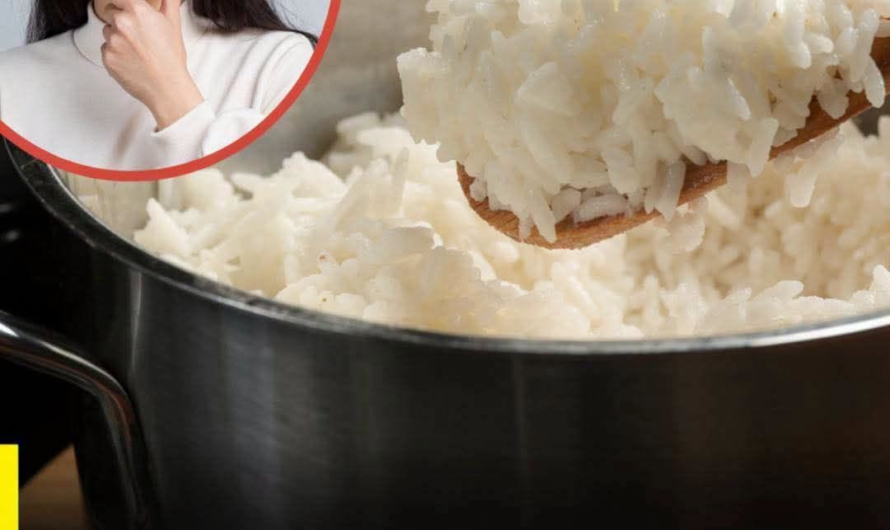¿Es peligroso comer arroz recalentado? Lo que debes saber para evitar intoxicaciones