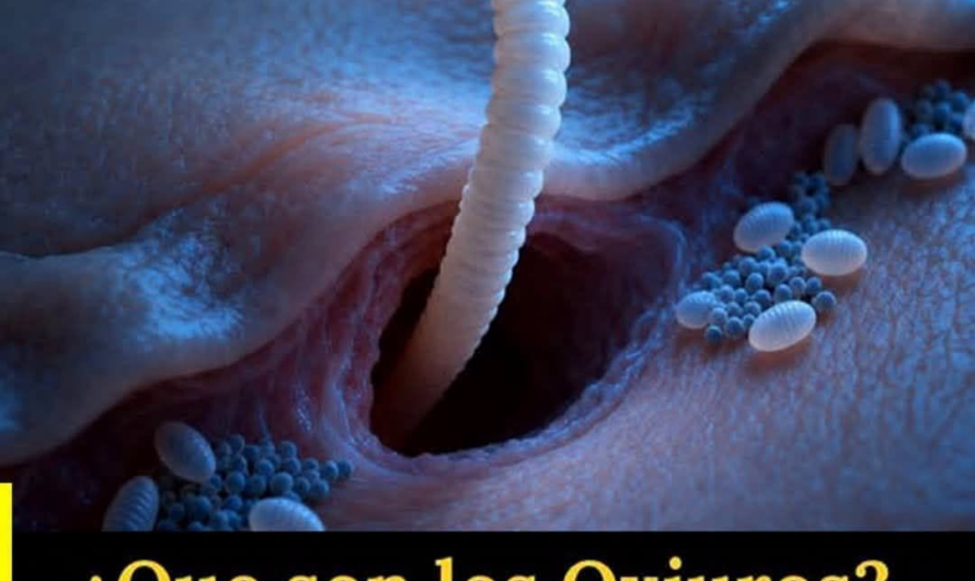Oxiuro en niños: el parásito nocturno que causa picazón anal y cómo tratarlo