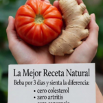 Bebida de avena, manzana y jengibre: beneficios reales y cómo prepararla