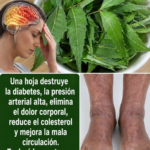Hoja de guanábana: efectos reales sobre la glucosa, la presión, el dolor y el colesterol