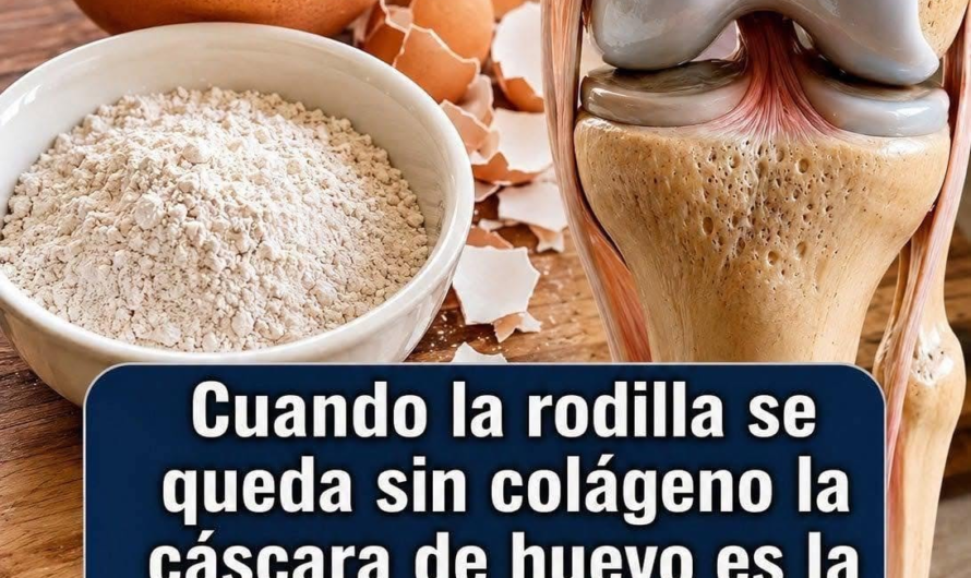 Cáscara de huevo para la rodilla: qué dice la ciencia sobre el colágeno y la osteoartritis