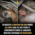 Joven y su perro sobrevivieron 14 días bajo los escombros: lo que se sabe del rescate
