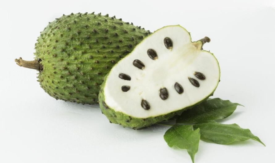 Guanábana: la fruta tropical que genera interés por sus nutrientes y también por sus mitos