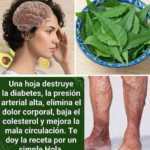 Neem: beneficios posibles, riesgos y cómo usarlo de forma segura