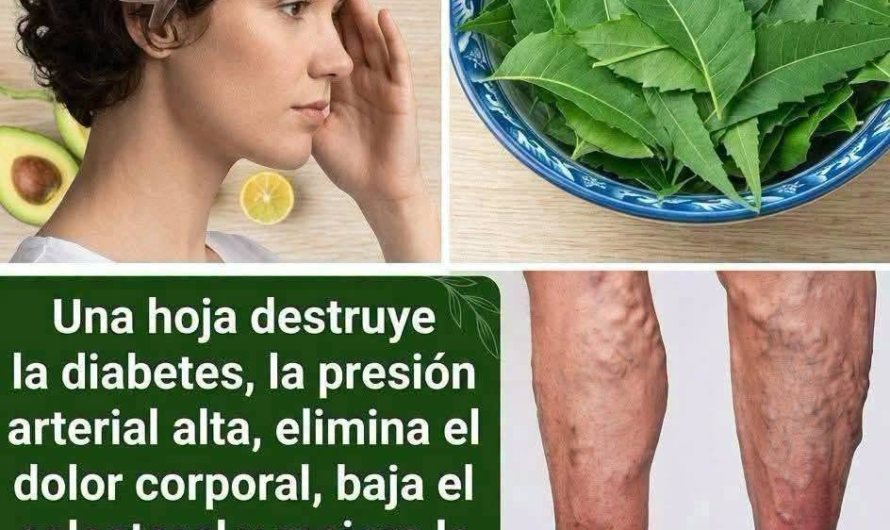 Neem: beneficios posibles, riesgos y cómo usarlo de forma segura