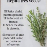 Infusión de romero y tomillo: receta sencilla, usos reales y precauciones