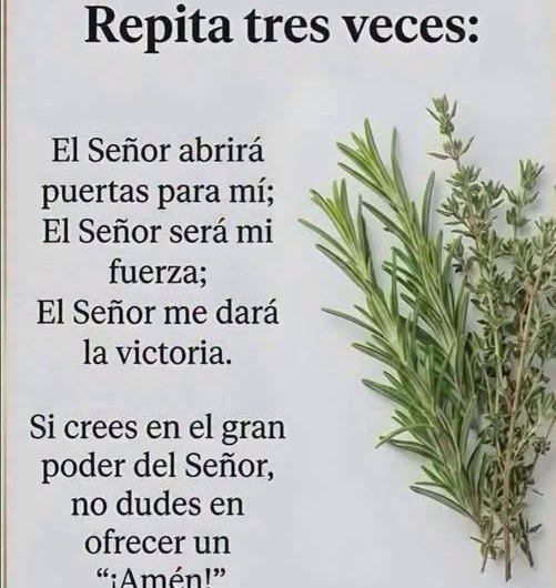 Infusión de romero y tomillo: receta sencilla, usos reales y precauciones