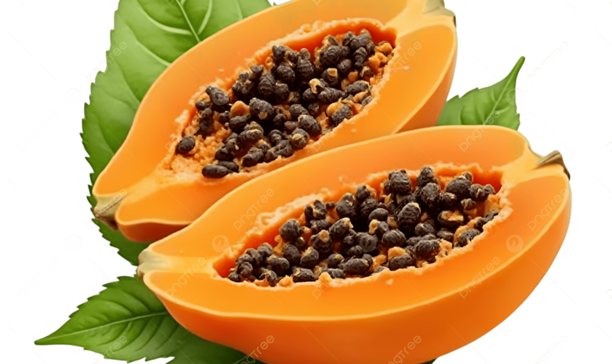 Papaya: la fruta tropical que puede apoyar tu digestión sin promesas milagrosas