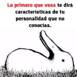 ¿Ves un pato o un conejo? Lo que esta ilusión realmente dice sobre tu cerebro