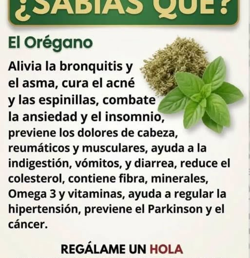 Orégano: beneficios reales, usos tradicionales y lo que la ciencia no ha demostrado
