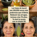 ¿Las hojas de laurel eliminan las arrugas? Evidencia, riesgos y cuidados que sí funcionan