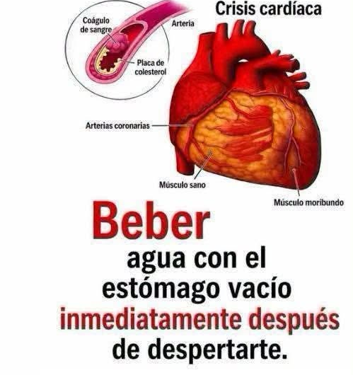 Beber agua en ayunas: qué beneficios tiene realmente y qué afirmaciones son un mito