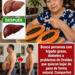 Más que un desecho: lo que debes saber sobre las semillas de papaya