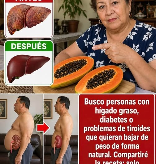 Más que un desecho: lo que debes saber sobre las semillas de papaya