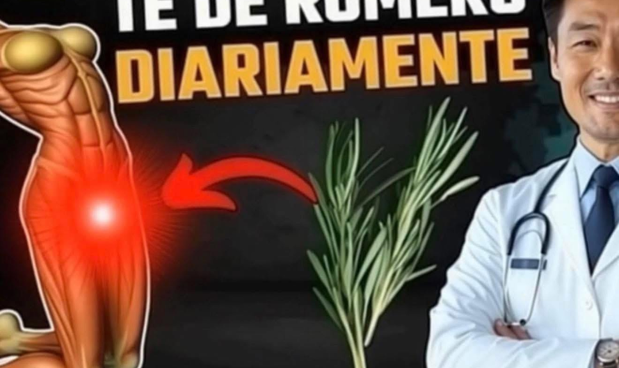Té de romero diario: beneficios posibles, riesgos y lo que realmente dice la evidencia