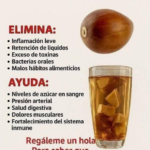Semilla de aguacate: lo que se sabe, lo que se exagera y cómo evitar riesgos