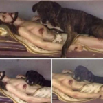 La historia real de la perrita que se durmió junto a una imagen de Jesús en una iglesia de Brasil
