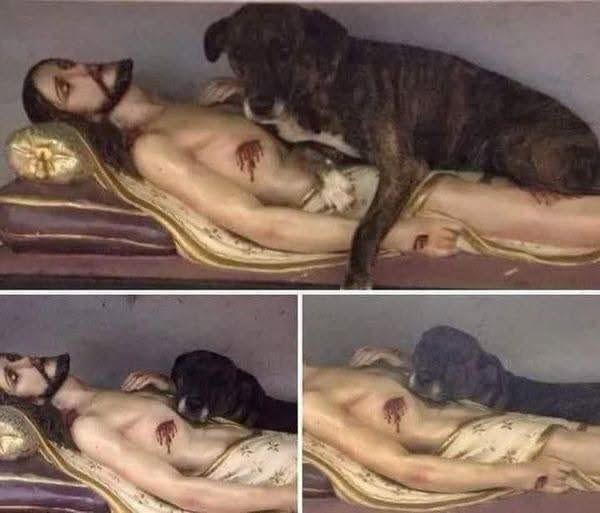 La historia real de la perrita que se durmió junto a una imagen de Jesús en una iglesia de Brasil