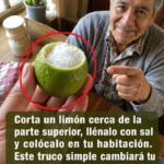 Limón con sal en una habitación: para qué sirve realmente y qué no puede hacer