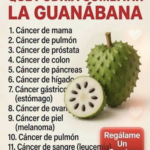 Guanábana y cáncer: qué dice realmente la ciencia sobre sus supuestos beneficios