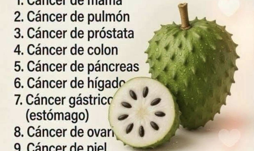 Guanábana y cáncer: qué dice realmente la ciencia sobre sus supuestos beneficios