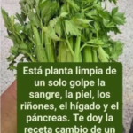 Agua de Hierbabuena con Limón: Una Bebida Refrescante con Beneficios Reales y Límites Claros