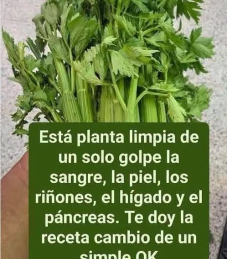 Agua de Hierbabuena con Limón: Una Bebida Refrescante con Beneficios Reales y Límites Claros