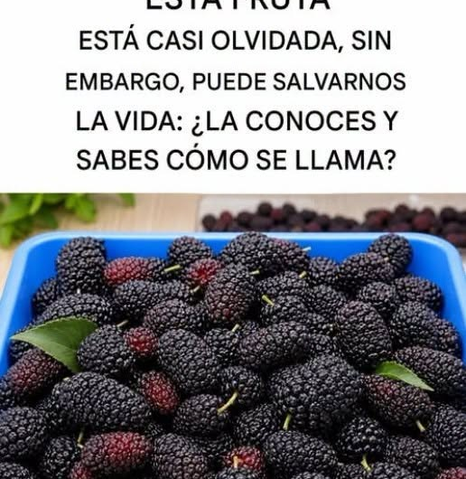 Mora de morera: beneficios reales, propiedades y cómo consumir esta fruta poco conocida