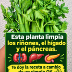 Apio: beneficios reales, propiedades y por qué no “limpia” los órganos