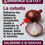 Cebolla y Salud: Beneficios Reales, Usos en la Cocina y Mitos que Conviene Evitar