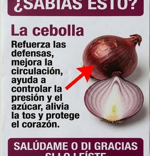 Cebolla y Salud: Beneficios Reales, Usos en la Cocina y Mitos que Conviene Evitar