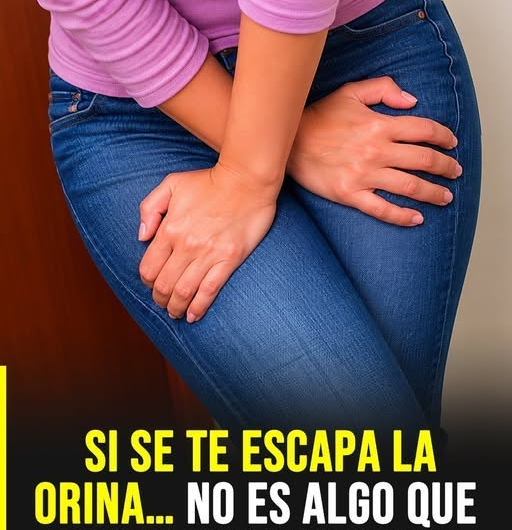 Incontinencia urinaria: señales, causas y cuándo consultar a un profesional de la salud